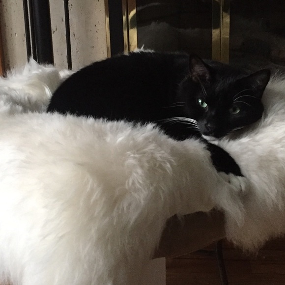 Meet your Posher, Samantha - Picture 1 of 1